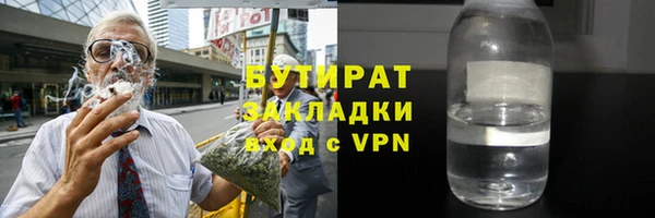 шишки Новодвинск
