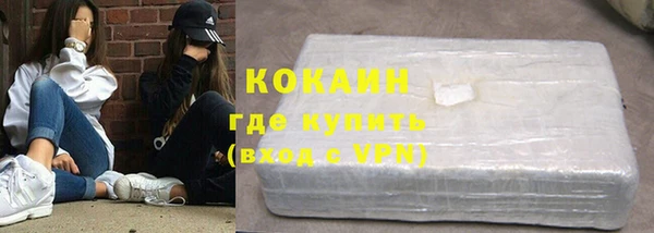 ГАЛЛЮЦИНОГЕННЫЕ ГРИБЫ Новозыбков