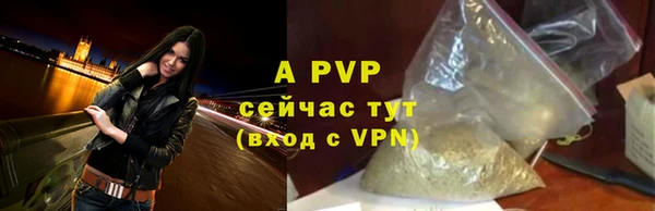 ГАЛЛЮЦИНОГЕННЫЕ ГРИБЫ Новозыбков
