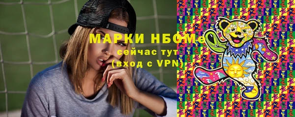 шишки Новодвинск
