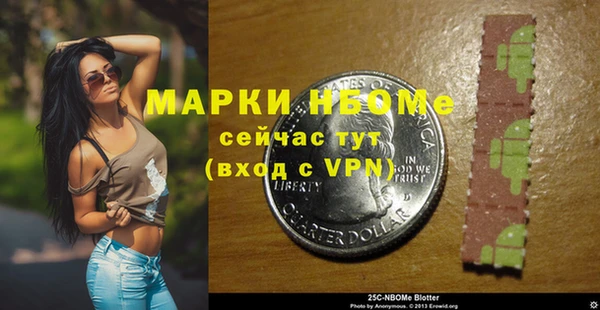 ГАЛЛЮЦИНОГЕННЫЕ ГРИБЫ Новозыбков