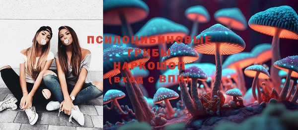 ГАЛЛЮЦИНОГЕННЫЕ ГРИБЫ Новозыбков