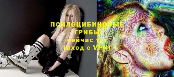 шишки Новодвинск