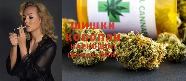 шишки Новодвинск