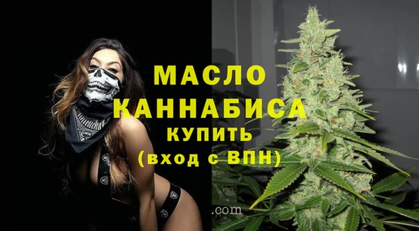 шишки Новодвинск