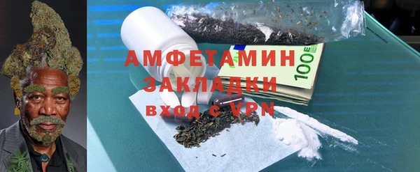 ГАЛЛЮЦИНОГЕННЫЕ ГРИБЫ Новозыбков
