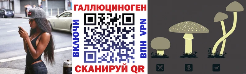Псилоцибиновые грибы ЛСД Людиново