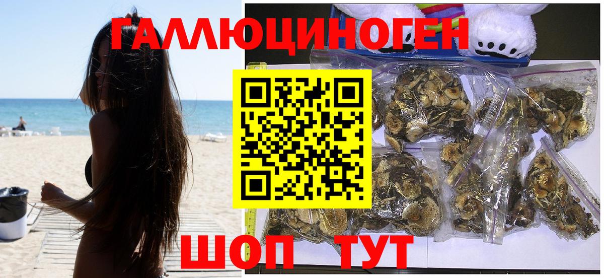 Псилоцибиновые грибы прущие грибы  Галлюциногенные грибы прущие грибы  Людиново  Вход с VPN 