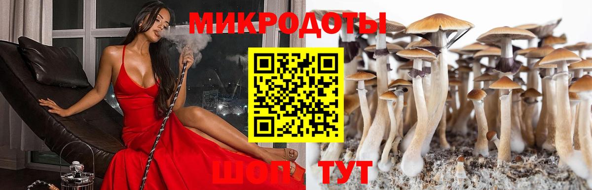 Псилоцибиновые грибы мицелий  Людиново 