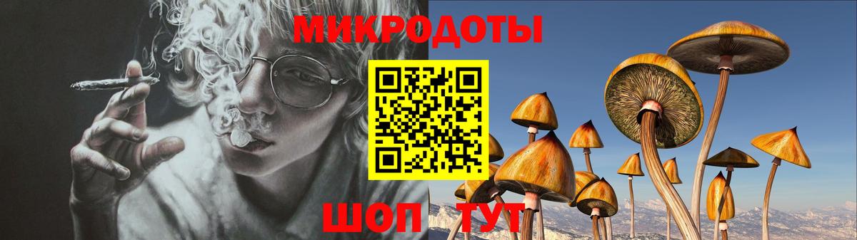 Галлюциногенные грибы Psilocybe Людиново
